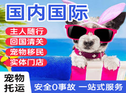 大同机场托运国际宠物托运 【国